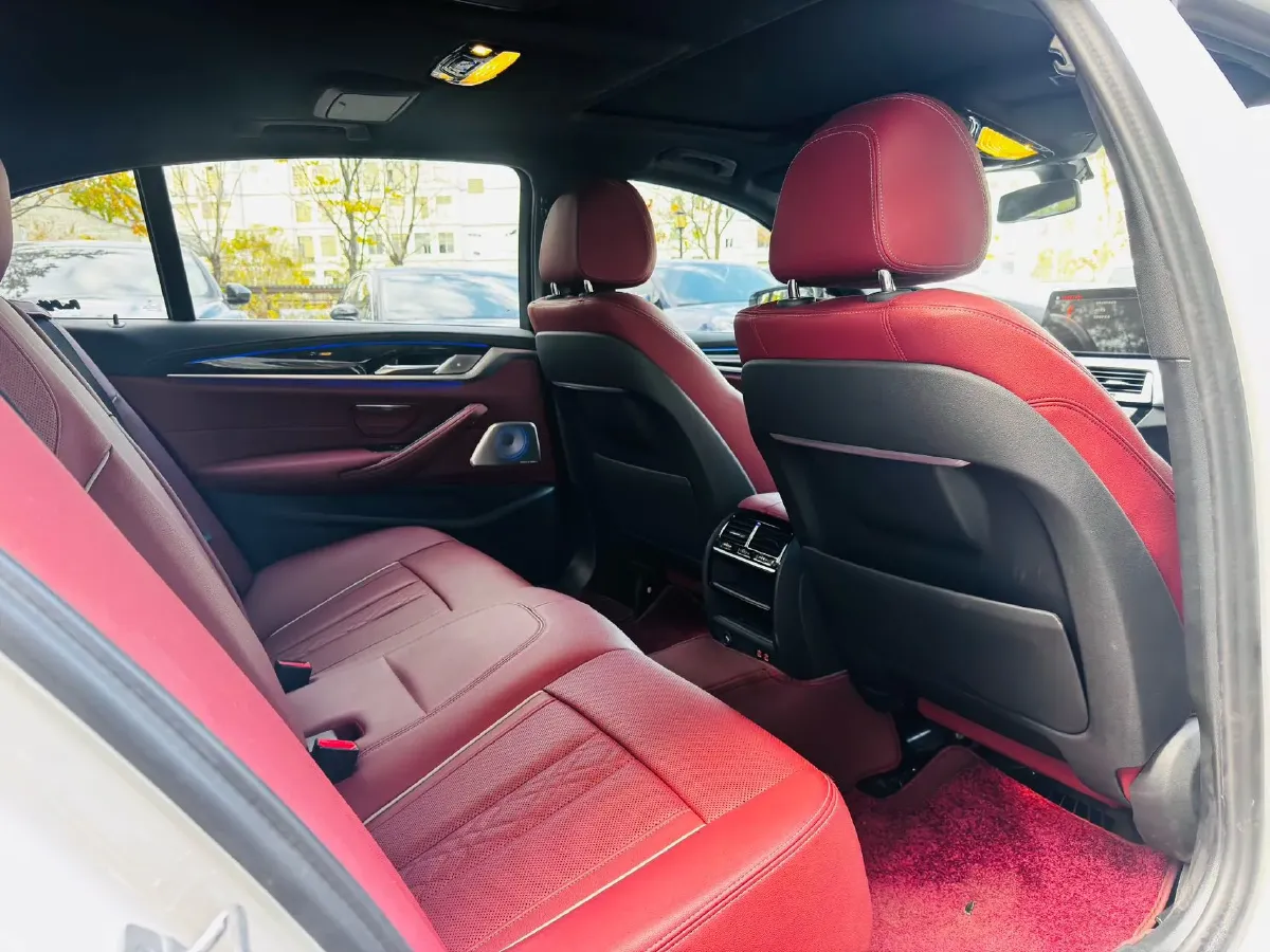 2021 BMW 5 Series 2.0T 184HP L4 8AT,autocango,china used car exporter,china ev exporter,chinese used car exporter,chinese used ev exporter