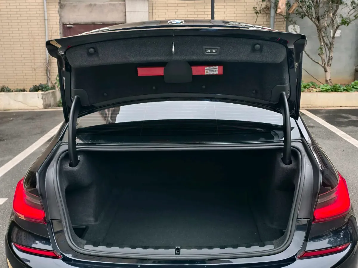 2021 BMW 3 Series 2.0T 184HP L4 8AT,autocango,china used car exporter,china ev exporter,chinese used car exporter,chinese used ev exporter