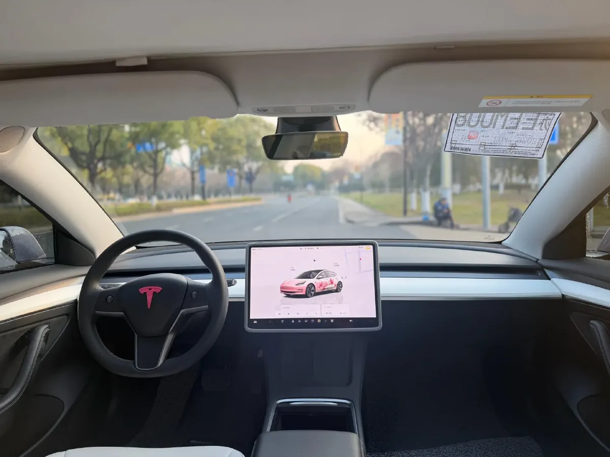 2022 Tesla Model 3 BEV 60KWH,autocango,china used car exporter,china ev exporter,chinese used car exporter,chinese used ev exporter