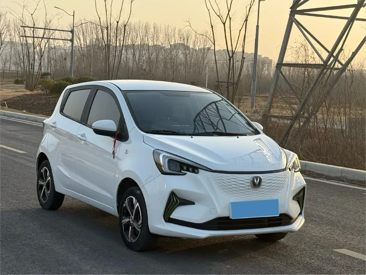 2022 ChangAn BenBen E-Star BEV 31.95KWH,autocango,china used car exporter,china ev exporter,chinese used car exporter,chinese used ev exporter