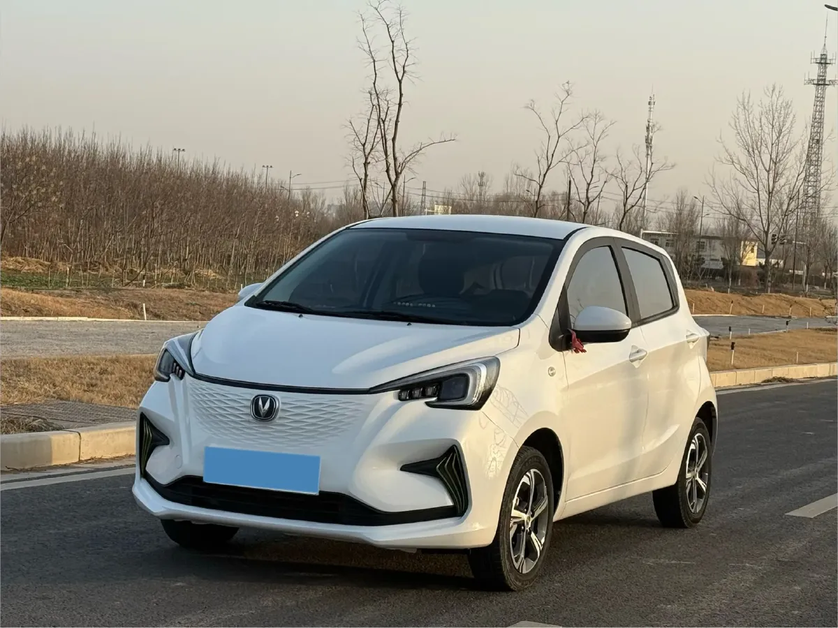 2022 ChangAn BenBen E-Star BEV 31.95KWH,autocango,china used car exporter,china ev exporter,chinese used car exporter,chinese used ev exporter