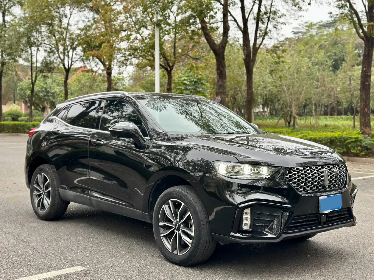 2020 WEY VV5 1.5T 171HP L4 7DCT,autocango,china used car exporter,china ev exporter,chinese used car exporter,chinese used ev exporter