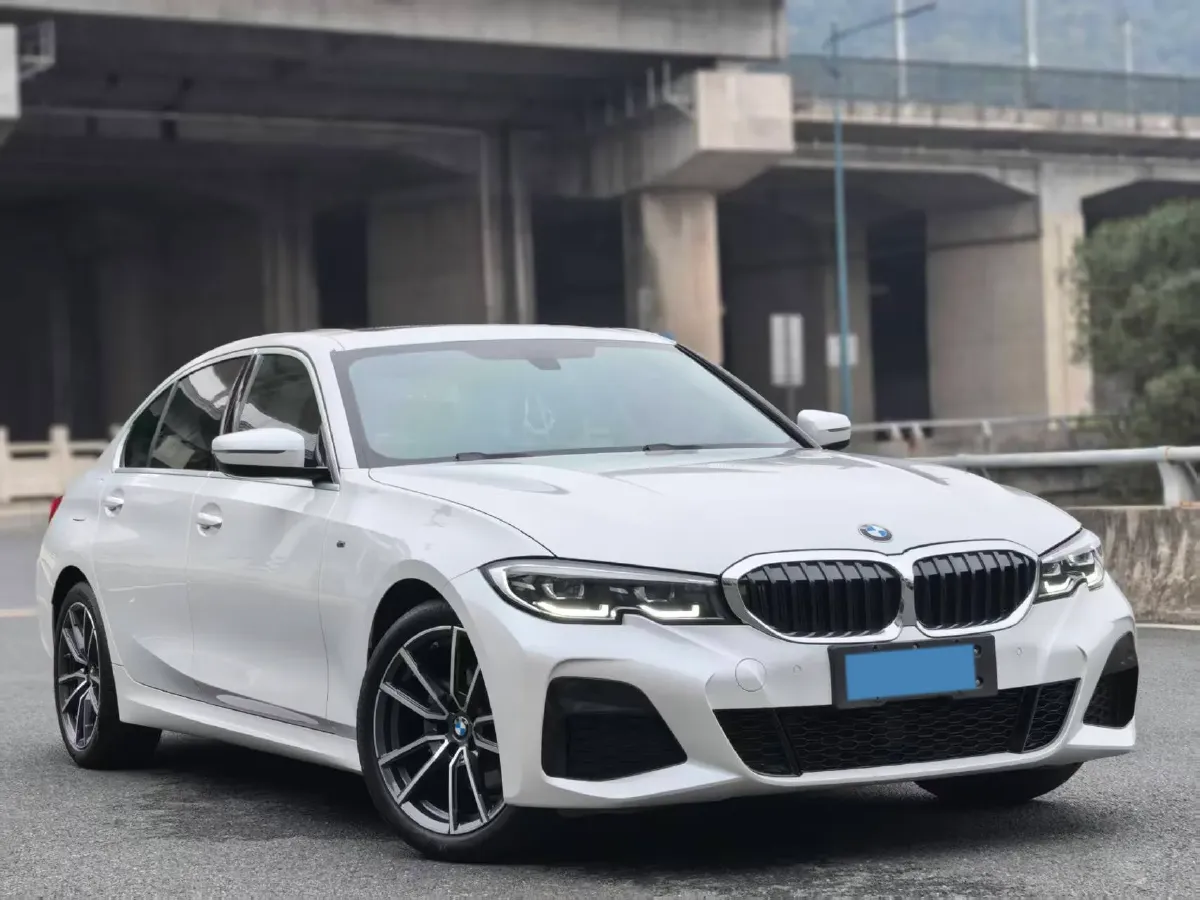 2021 BMW 3 Series 2.0T 156HP L4 8AT,autocango,china used car exporter,china ev exporter,chinese used car exporter,chinese used ev exporter