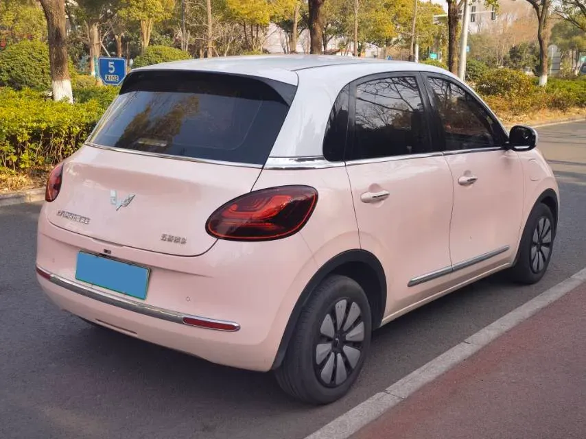 2023 WuLing BinGuo BEV 37.9KWH,autocango,china used car exporter,china ev exporter,chinese used car exporter,chinese used ev exporter