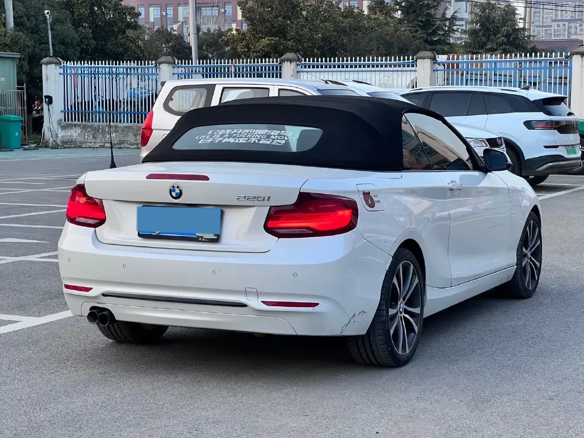 2019 BMW 2 Series 2.0T 184HP L4 8AT,autocango,china used car exporter,china ev exporter,chinese used car exporter,chinese used ev exporter