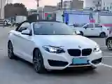 2019 BMW 2 Series 2.0T 184HP L4 8AT