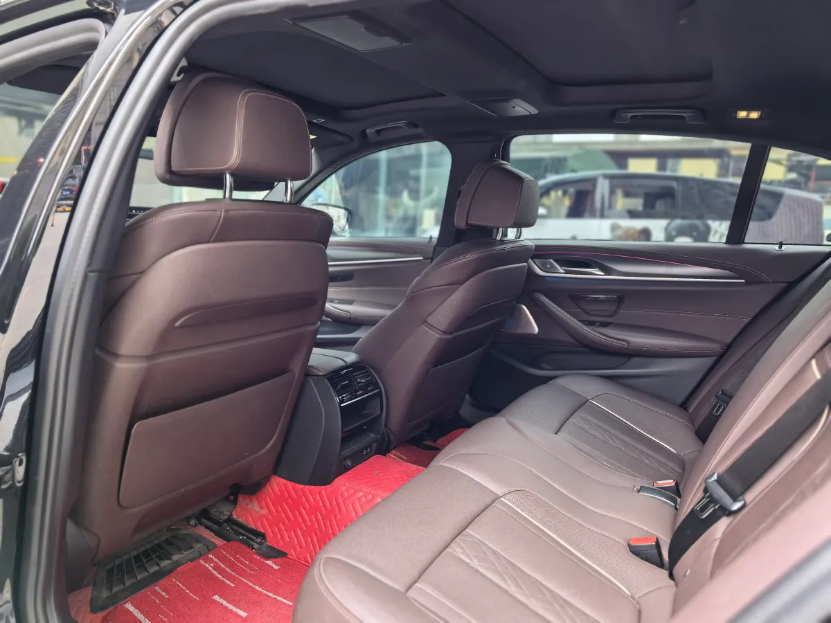 2021 BMW 5 Series 2.0T 184HP L4 8AT PHEV 17.7KWH,autocango,china used car exporter,china ev exporter,chinese used car exporter,chinese used ev exporter