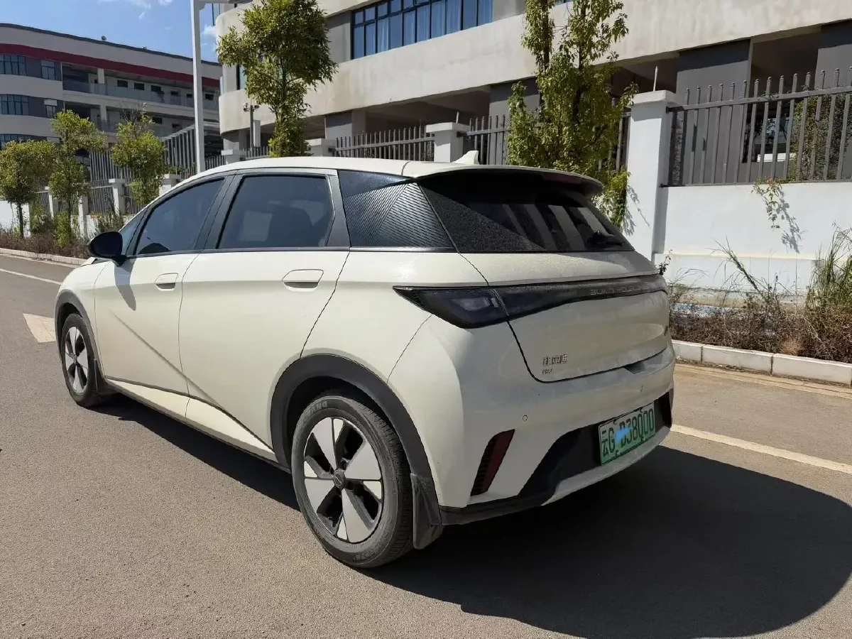 2023 BYD Dolphin BEV 44.928KWH,autocango,china used car exporter,china ev exporter,chinese used car exporter,chinese used ev exporter