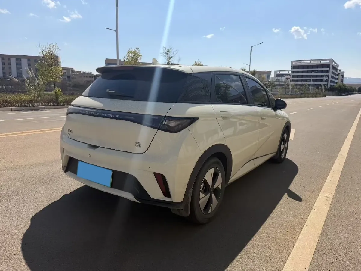 2023 BYD Dolphin BEV 44.928KWH,autocango,china used car exporter,china ev exporter,chinese used car exporter,chinese used ev exporter
