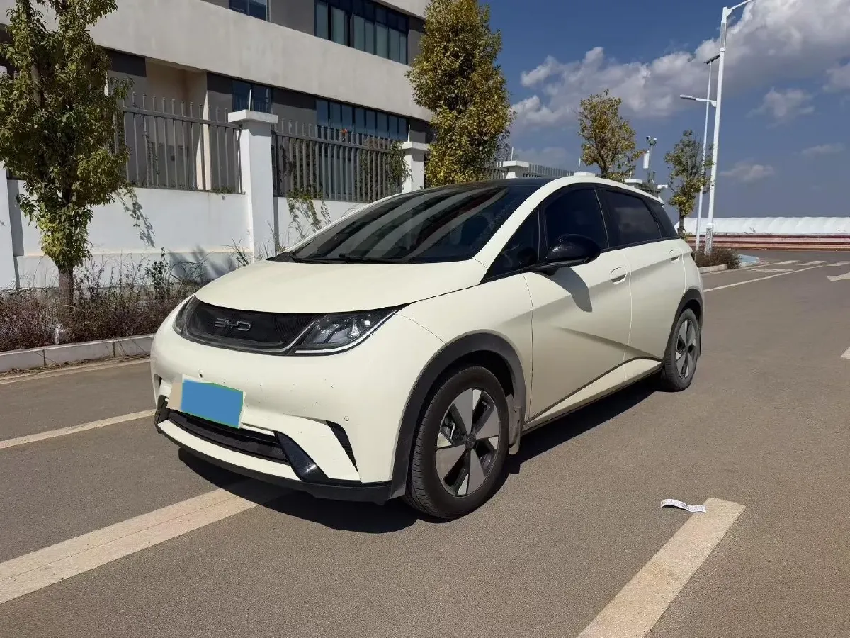 2023 BYD Dolphin BEV 44.928KWH,autocango,china used car exporter,china ev exporter,chinese used car exporter,chinese used ev exporter