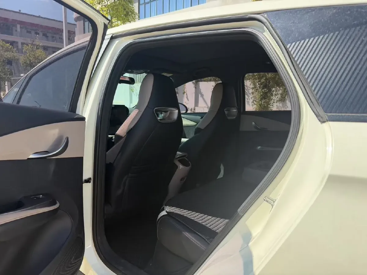 2023 BYD Dolphin BEV 44.928KWH,autocango,china used car exporter,china ev exporter,chinese used car exporter,chinese used ev exporter