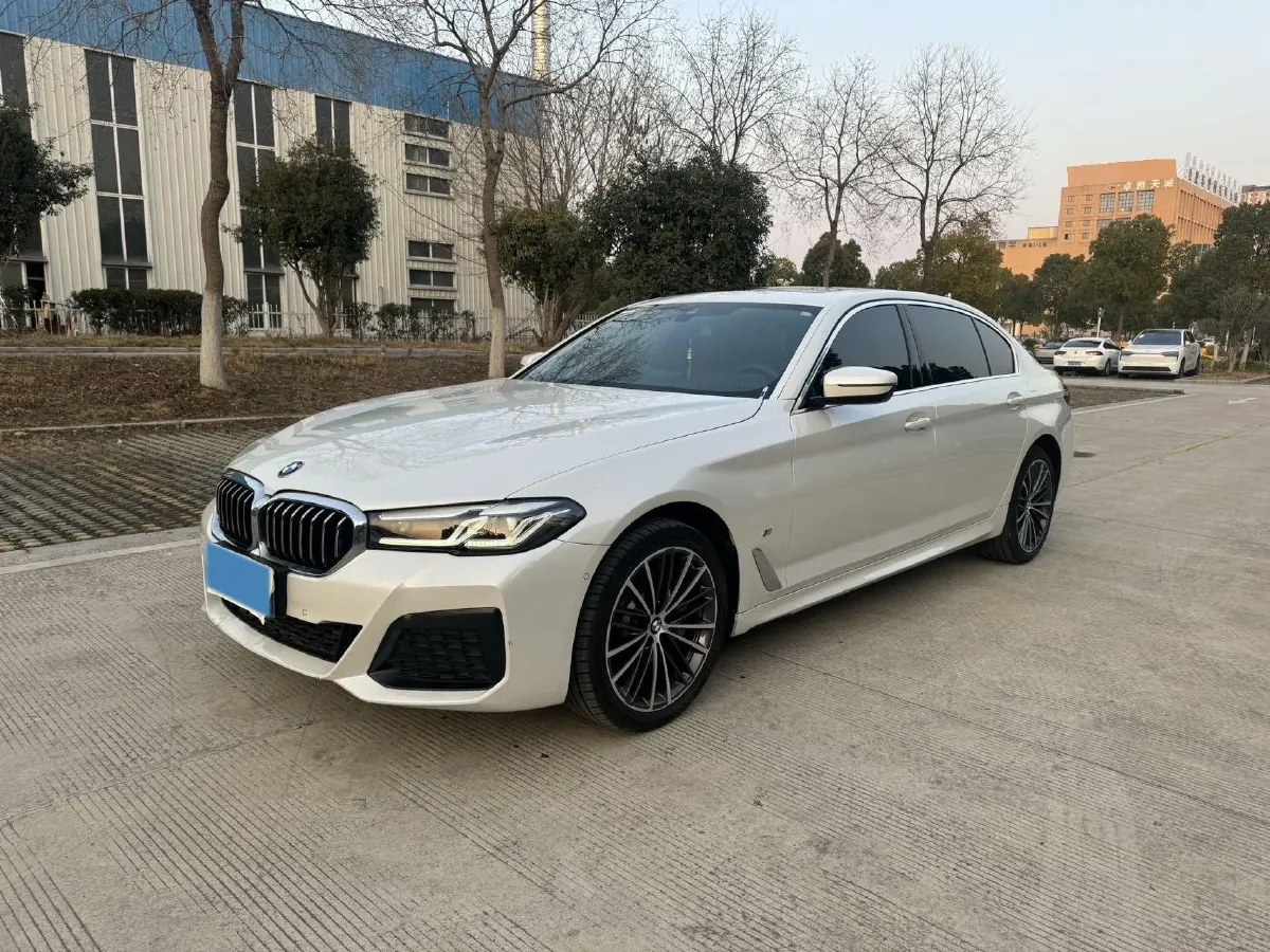 2023 BMW 5 Series 2.0T 245HP L4 8AT,autocango,china used car exporter,china ev exporter,chinese used car exporter,chinese used ev exporter