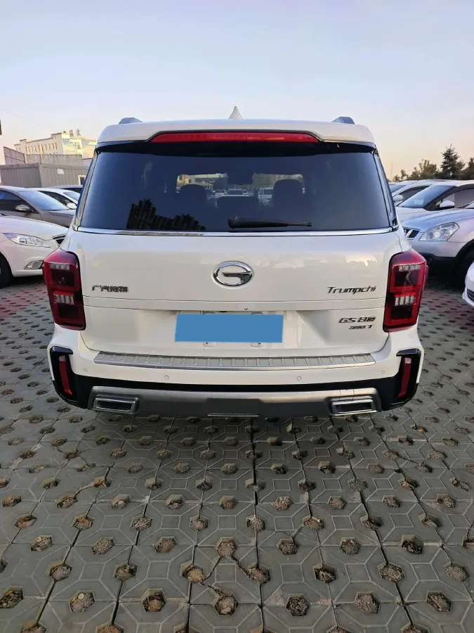 2020 GAC Trumpchi GS8 2.0T 252HP L4 6AT,autocango,china used car exporter,china ev exporter,chinese used car exporter,chinese used ev exporter
