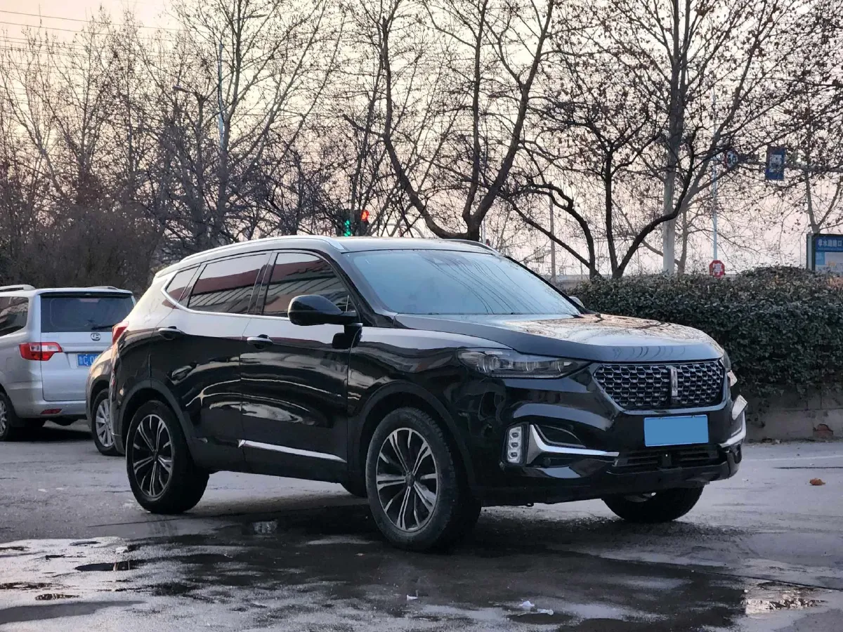 2021 WEY VV6 2.0T 227HP L4 7DCT,autocango,china used car exporter,china ev exporter,chinese used car exporter,chinese used ev exporter