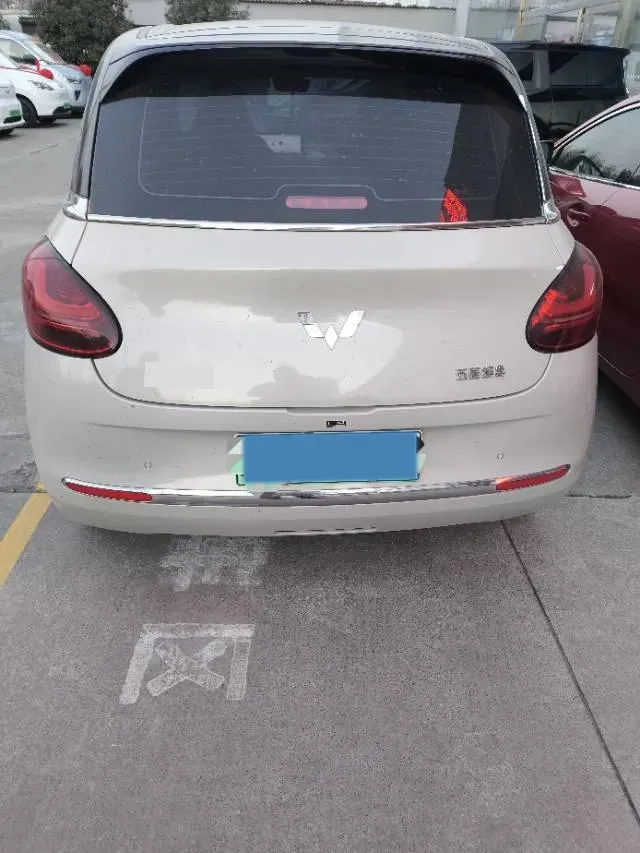 2023 WuLing BinGuo BEV 31.9KWH,autocango,china used car exporter,china ev exporter,chinese used car exporter,chinese used ev exporter
