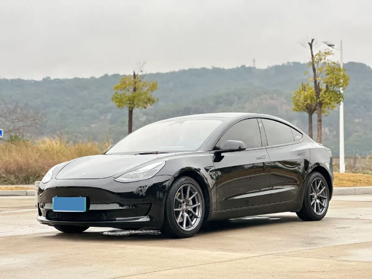 2021 Tesla Model 3 BEV 55KWH,autocango,china used car exporter,china ev exporter,chinese used car exporter,chinese used ev exporter