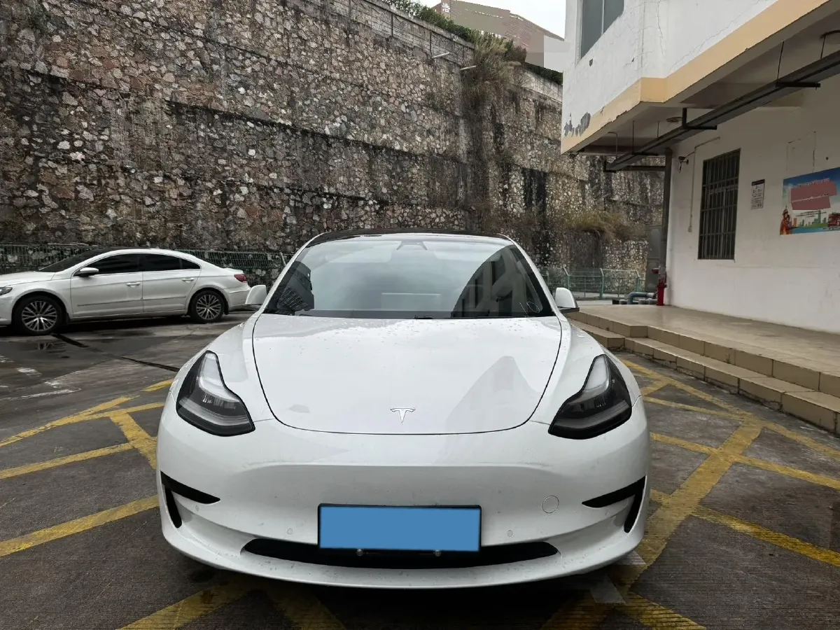 2020 Tesla Model 3 BEV 52KWH,autocango,china used car exporter,china ev exporter,chinese used car exporter,chinese used ev exporter