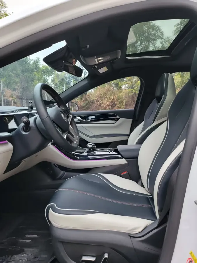 2021 DongFeng FuKang e Elysee BEV 38.4KWH,autocango,china used car exporter,china ev exporter,chinese used car exporter,chinese used ev exporter