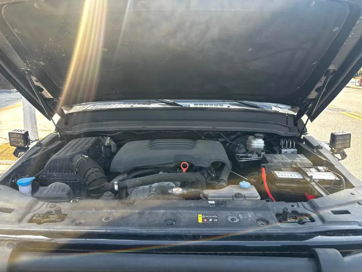 2021 Tank 300 2.0T 227HP L4 8AT,autocango,china used car exporter,china ev exporter,chinese used car exporter,chinese used ev exporter