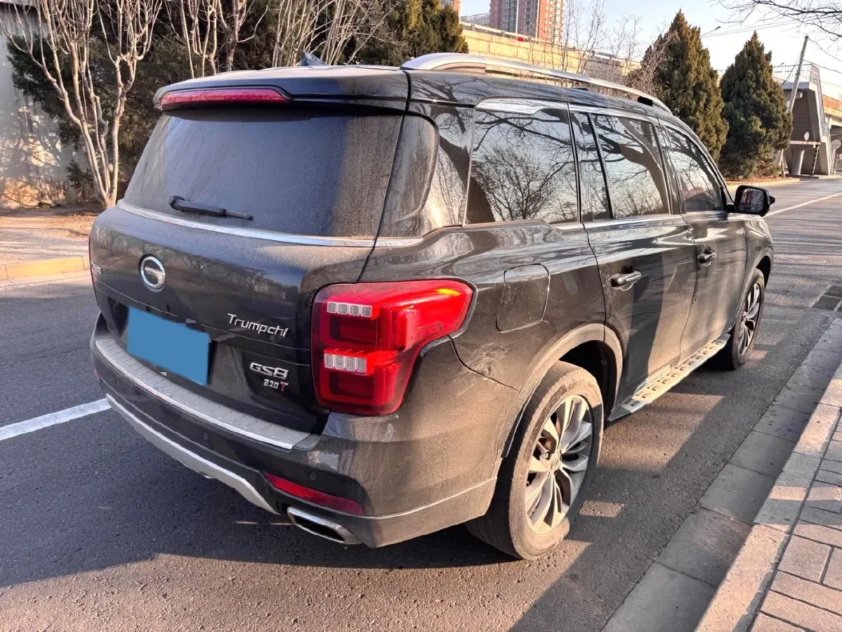 2017 GAC Trumpchi GS8 2.0T 201HP L4 6AT,autocango,china used car exporter,china ev exporter,chinese used car exporter,chinese used ev exporter