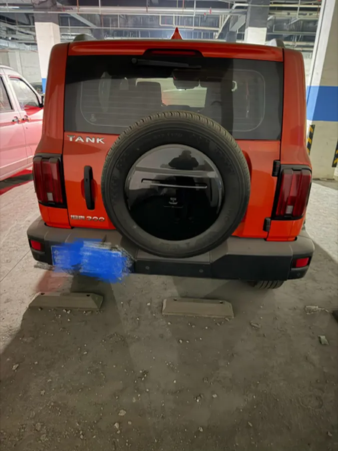 2023 Tank 300 2.0T 227HP L4 8AT,autocango,china used car exporter,china ev exporter,chinese used car exporter,chinese used ev exporter
