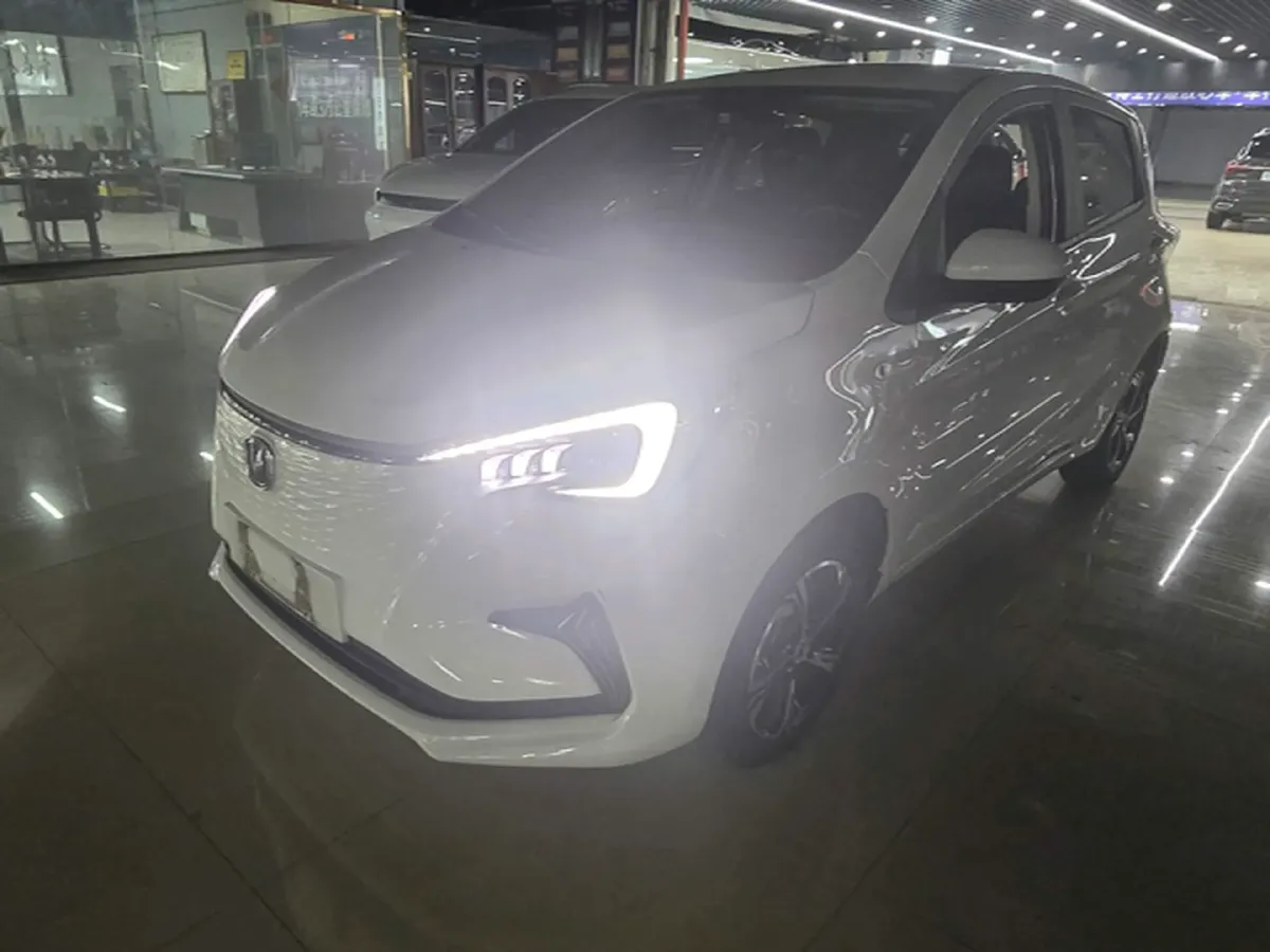 2022 ChangAn BenBen E-Star BEV 31.95KWH,autocango,china used car exporter,china ev exporter,chinese used car exporter,chinese used ev exporter