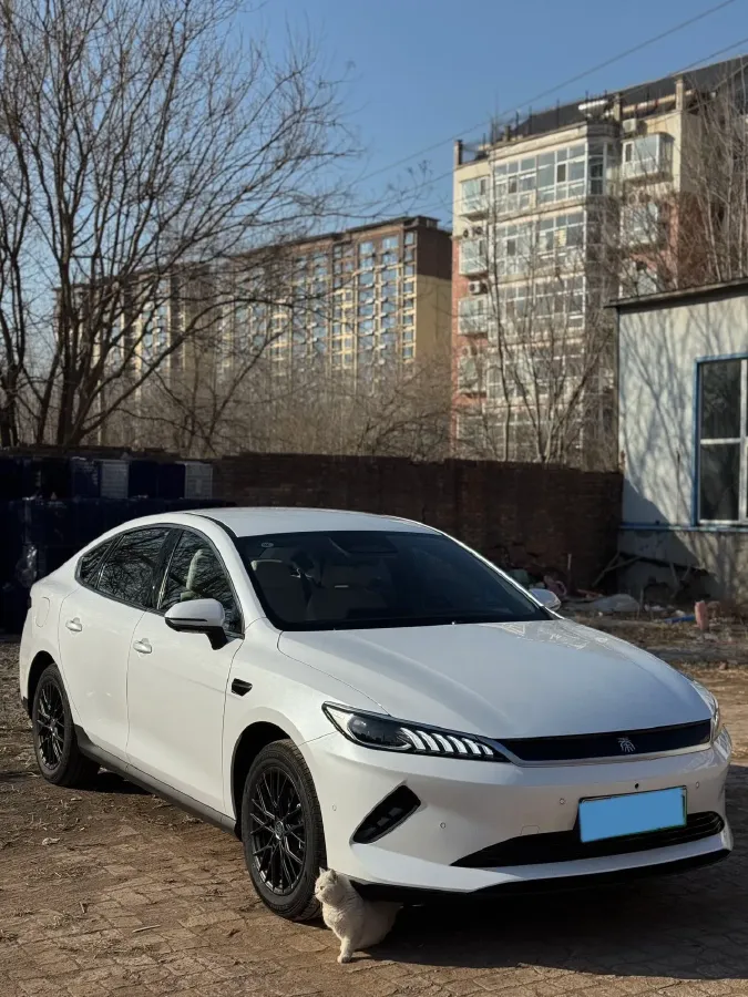 2025 BYD Qin Plus BEV 57.6KWH,autocango,china used car exporter,china ev exporter,chinese used car exporter,chinese used ev exporter