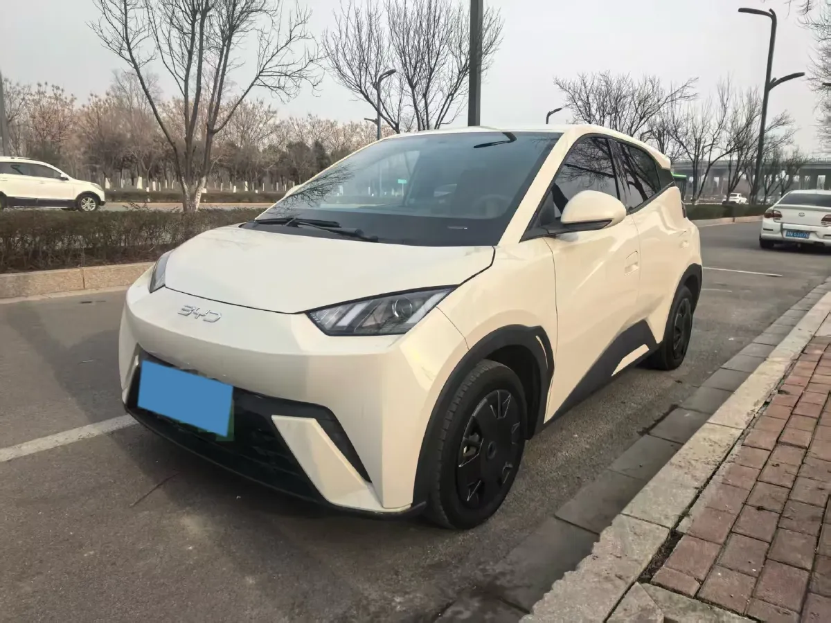 2023 BYD Seagull BEV 30.08KWH,autocango,china used car exporter,china ev exporter,chinese used car exporter,chinese used ev exporter
