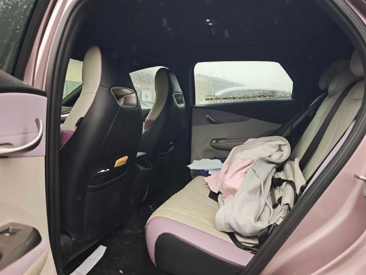 2023 BYD Dolphin BEV 44.928KWH,autocango,china used car exporter,china ev exporter,chinese used car exporter,chinese used ev exporter