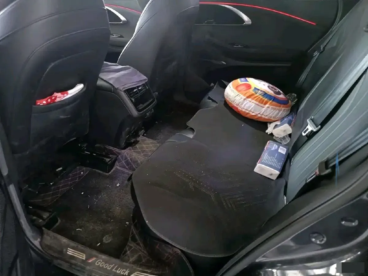 2024 Exceed TXL 1.6T 201HP L4 7DCT,autocango,china used car exporter,china ev exporter,chinese used car exporter,chinese used ev exporter