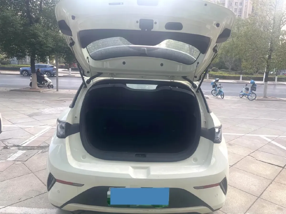 2025 BYD Dolphin BEV 45.12KWH,autocango,china used car exporter,china ev exporter,chinese used car exporter,chinese used ev exporter