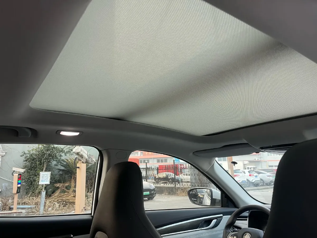 2019 Weltmeister EX5 BEV 56.94KWH,autocango,china used car exporter,china ev exporter,chinese used car exporter,chinese used ev exporter