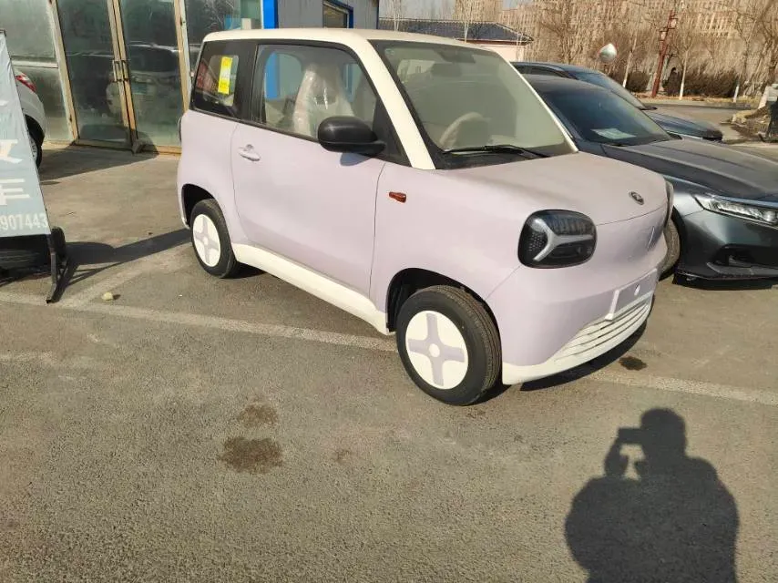 2025 ZD Rainbow BEV,autocango,china used car exporter,china ev exporter,chinese used car exporter,chinese used ev exporter