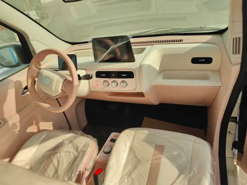 2025 ZD Rainbow BEV,autocango,china used car exporter,china ev exporter,chinese used car exporter,chinese used ev exporter