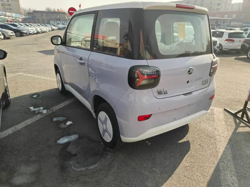 2025 ZD Rainbow BEV,autocango,china used car exporter,china ev exporter,chinese used car exporter,chinese used ev exporter