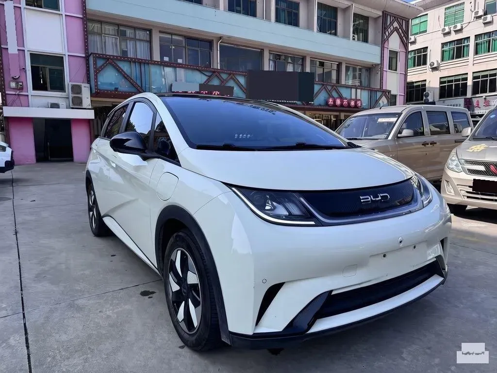 2024 BYD Dolphin BEV 44.928KWH,autocango,china used car exporter,china ev exporter,chinese used car exporter,chinese used ev exporter