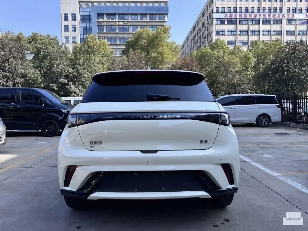 2024 BYD Dolphin BEV 44.928KWH,autocango,china used car exporter,china ev exporter,chinese used car exporter,chinese used ev exporter