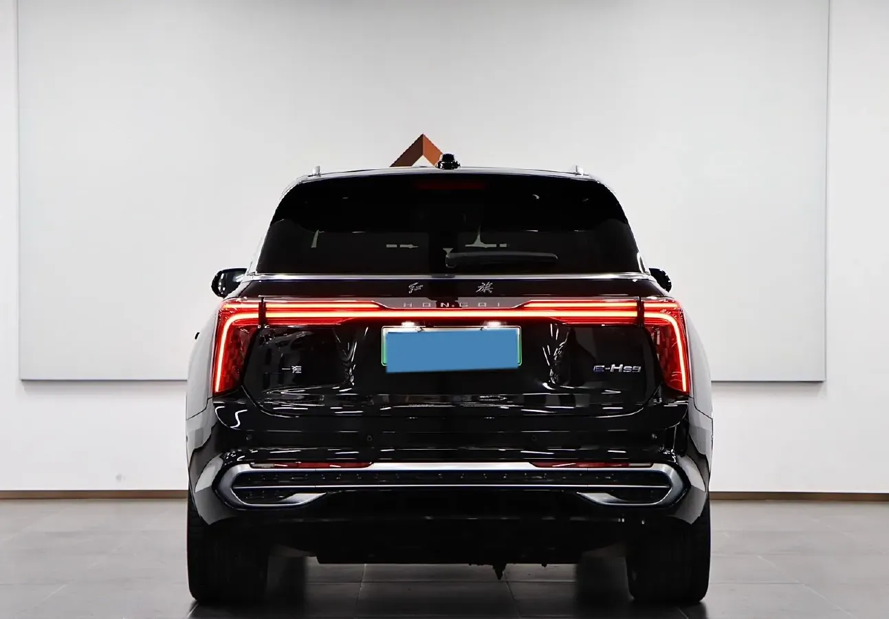 2021 HongQi E-HS9 BEV 84KWH,autocango,china used car exporter,china ev exporter,chinese used car exporter,chinese used ev exporter