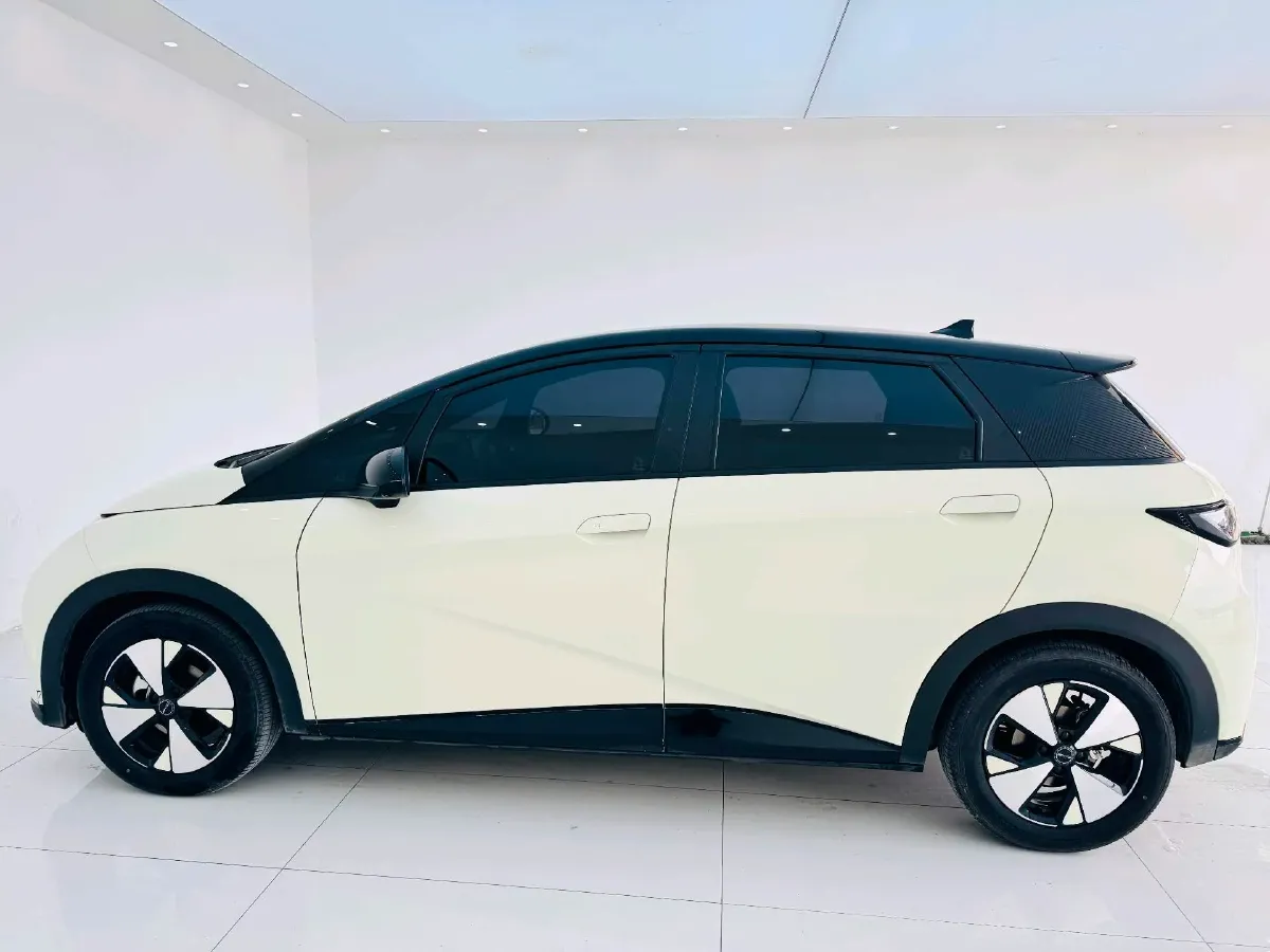 2023 BYD Dolphin BEV 44.928KWH,autocango,china used car exporter,china ev exporter,chinese used car exporter,chinese used ev exporter