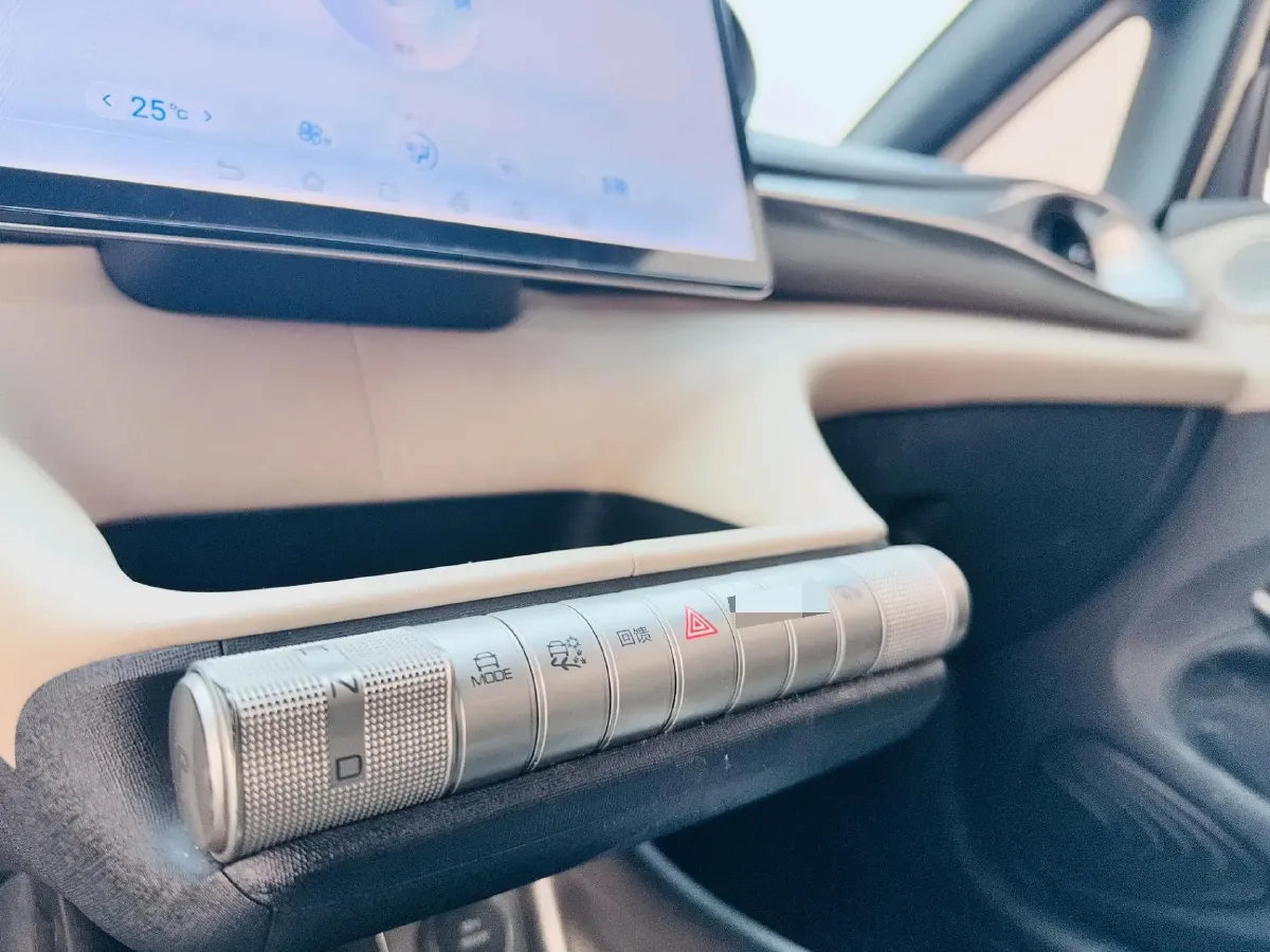 2023 BYD Dolphin BEV 44.928KWH,autocango,china used car exporter,china ev exporter,chinese used car exporter,chinese used ev exporter