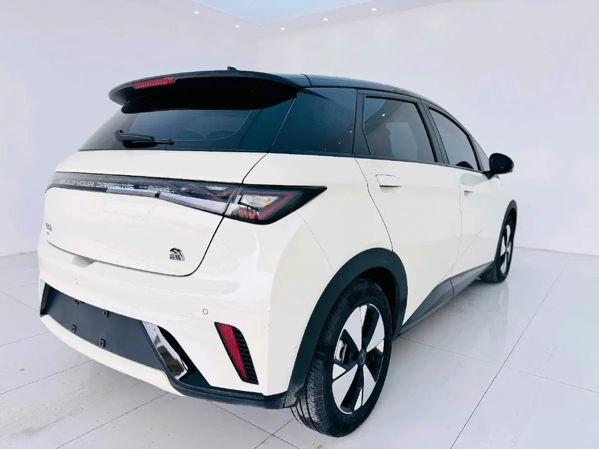 2023 BYD Dolphin BEV 44.928KWH,autocango,china used car exporter,china ev exporter,chinese used car exporter,chinese used ev exporter