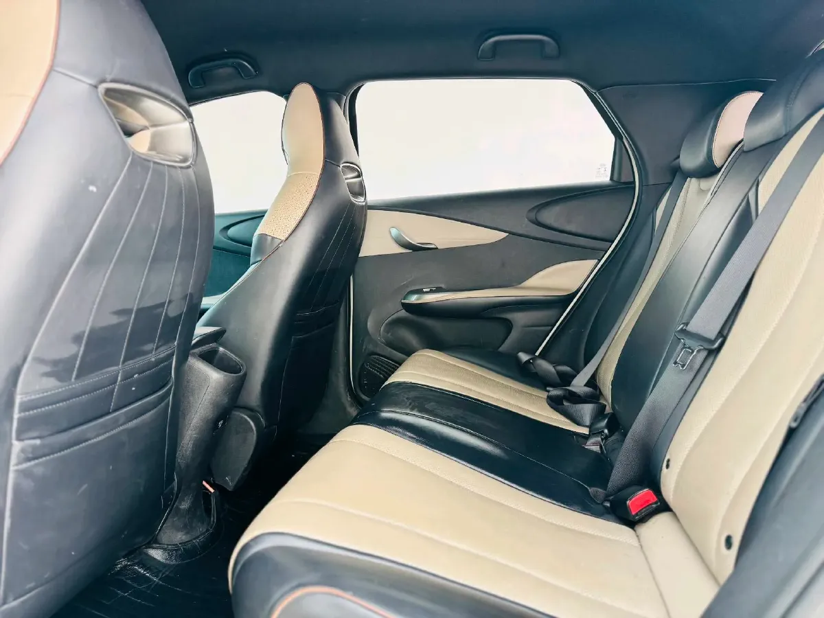 2023 BYD Dolphin BEV 44.928KWH,autocango,china used car exporter,china ev exporter,chinese used car exporter,chinese used ev exporter