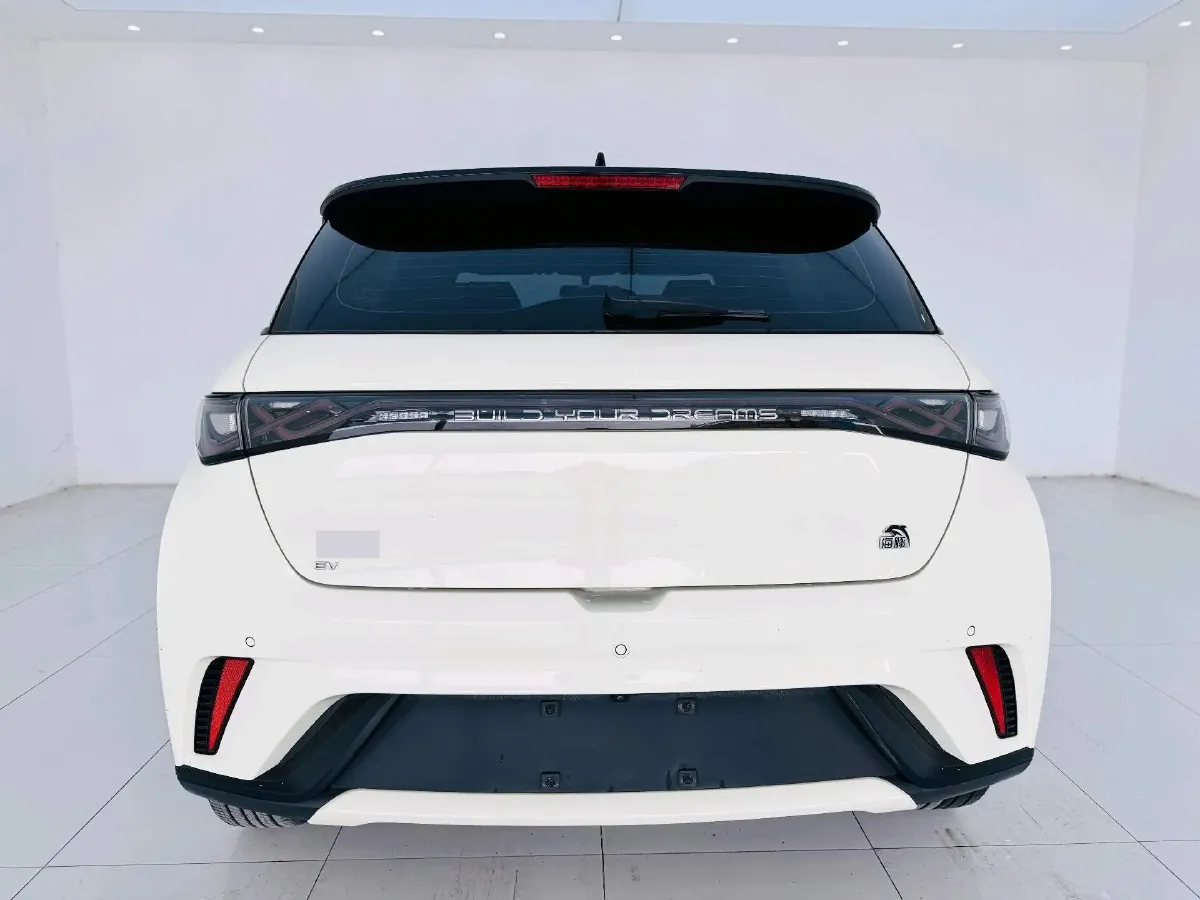 2023 BYD Dolphin BEV 44.928KWH,autocango,china used car exporter,china ev exporter,chinese used car exporter,chinese used ev exporter