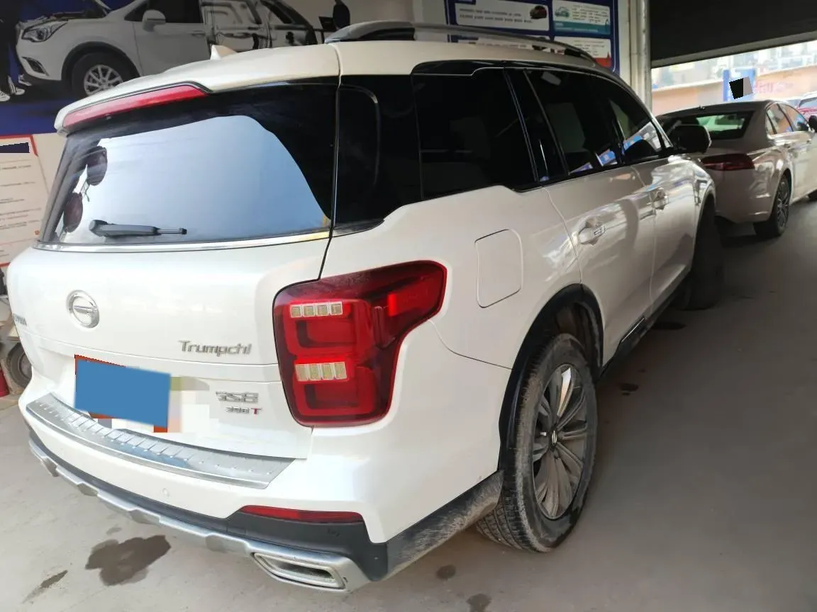 2020 GAC Trumpchi GS8 2.0T 252HP L4 6AT,autocango,china used car exporter,china ev exporter,chinese used car exporter,chinese used ev exporter