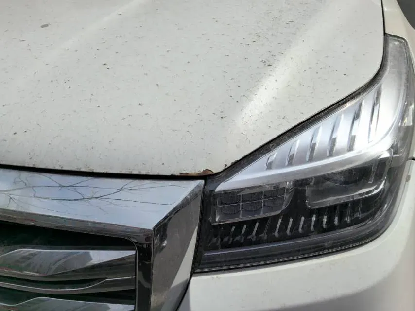 2020 Haval H9 2.0T 224HP L4 8AT,autocango,china used car exporter,china ev exporter,chinese used car exporter,chinese used ev exporter