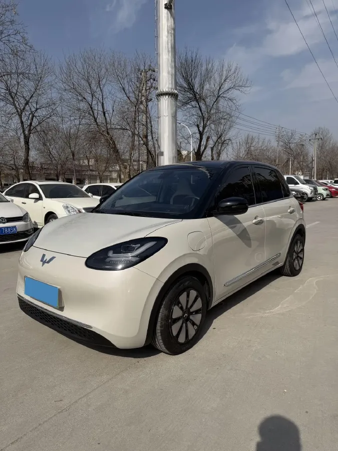 2024 WuLing BinGuo BEV 31.9KWH,autocango,china used car exporter,china ev exporter,chinese used car exporter,chinese used ev exporter