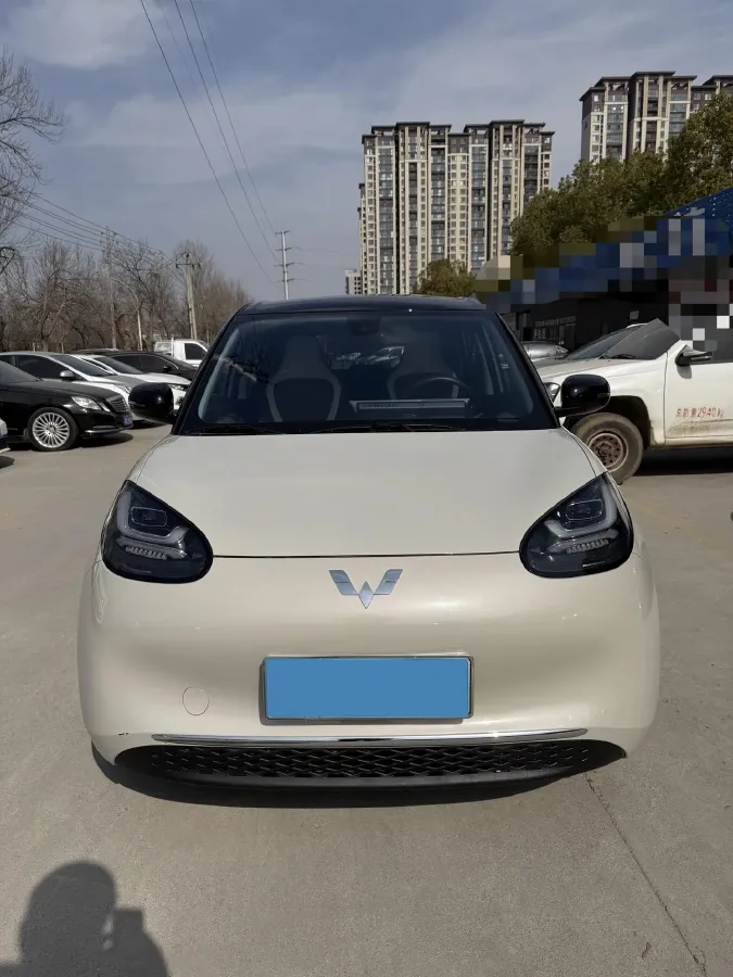 2024 WuLing BinGuo BEV 31.9KWH,autocango,china used car exporter,china ev exporter,chinese used car exporter,chinese used ev exporter