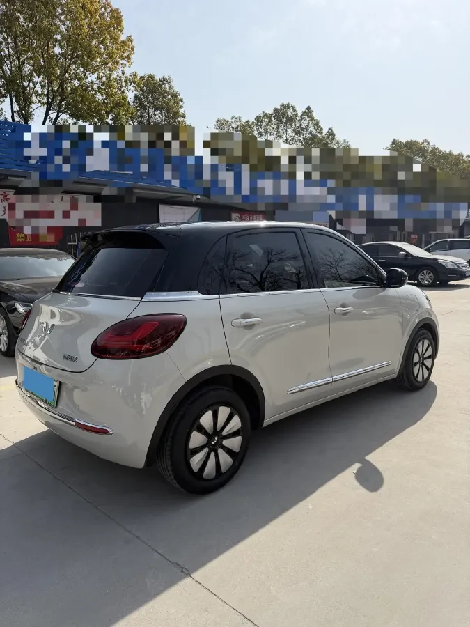2024 WuLing BinGuo BEV 31.9KWH,autocango,china used car exporter,china ev exporter,chinese used car exporter,chinese used ev exporter