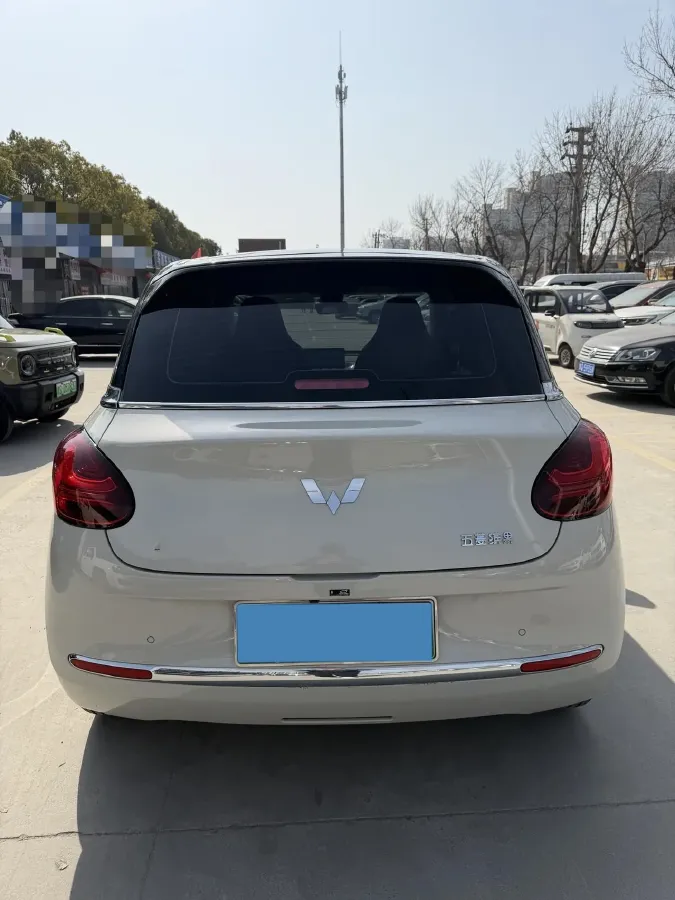 2024 WuLing BinGuo BEV 31.9KWH,autocango,china used car exporter,china ev exporter,chinese used car exporter,chinese used ev exporter