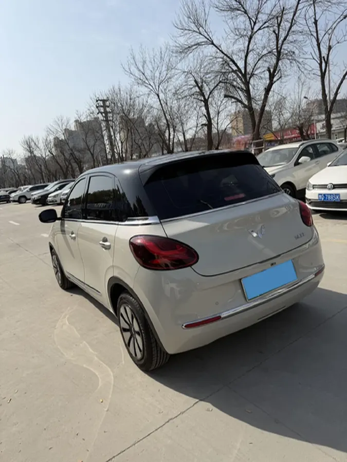 2024 WuLing BinGuo BEV 31.9KWH,autocango,china used car exporter,china ev exporter,chinese used car exporter,chinese used ev exporter